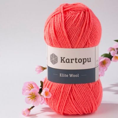 Elite Wool (шерсть 49%, акрил 51%) (100гр. 220м.)*5 мотков